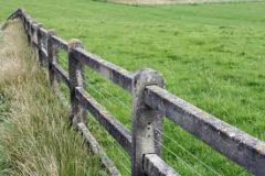 picture of a field with green grass - Major Gift