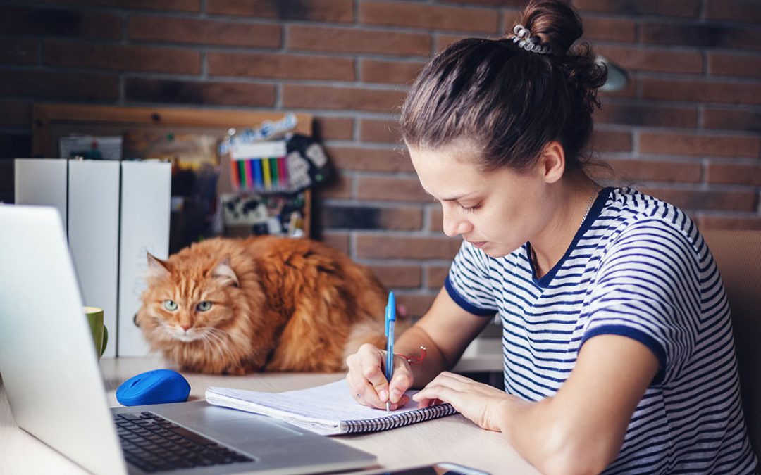 How to Work from Home Without Killing Someone: 21 Ideas for You