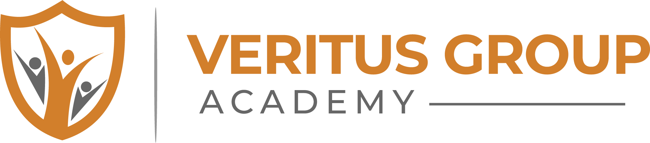 Veritus Group Academy