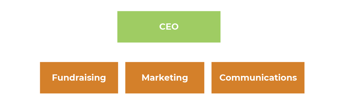 non-profit-organization-structure-1