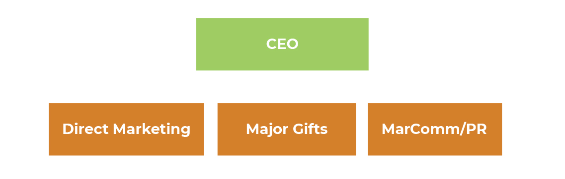 non-profit-organization-structure-3