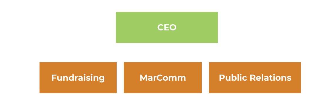 non-profit-organization-structure-2