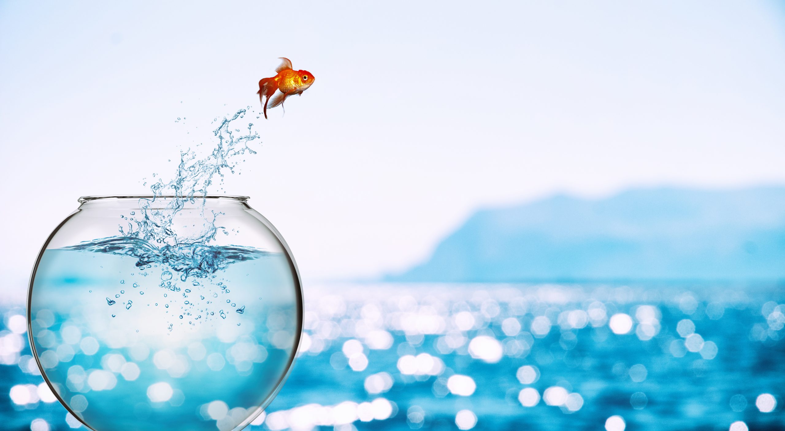 A goldfish leaps out of its bowl and into the sea, representing freedom from organizational silos.