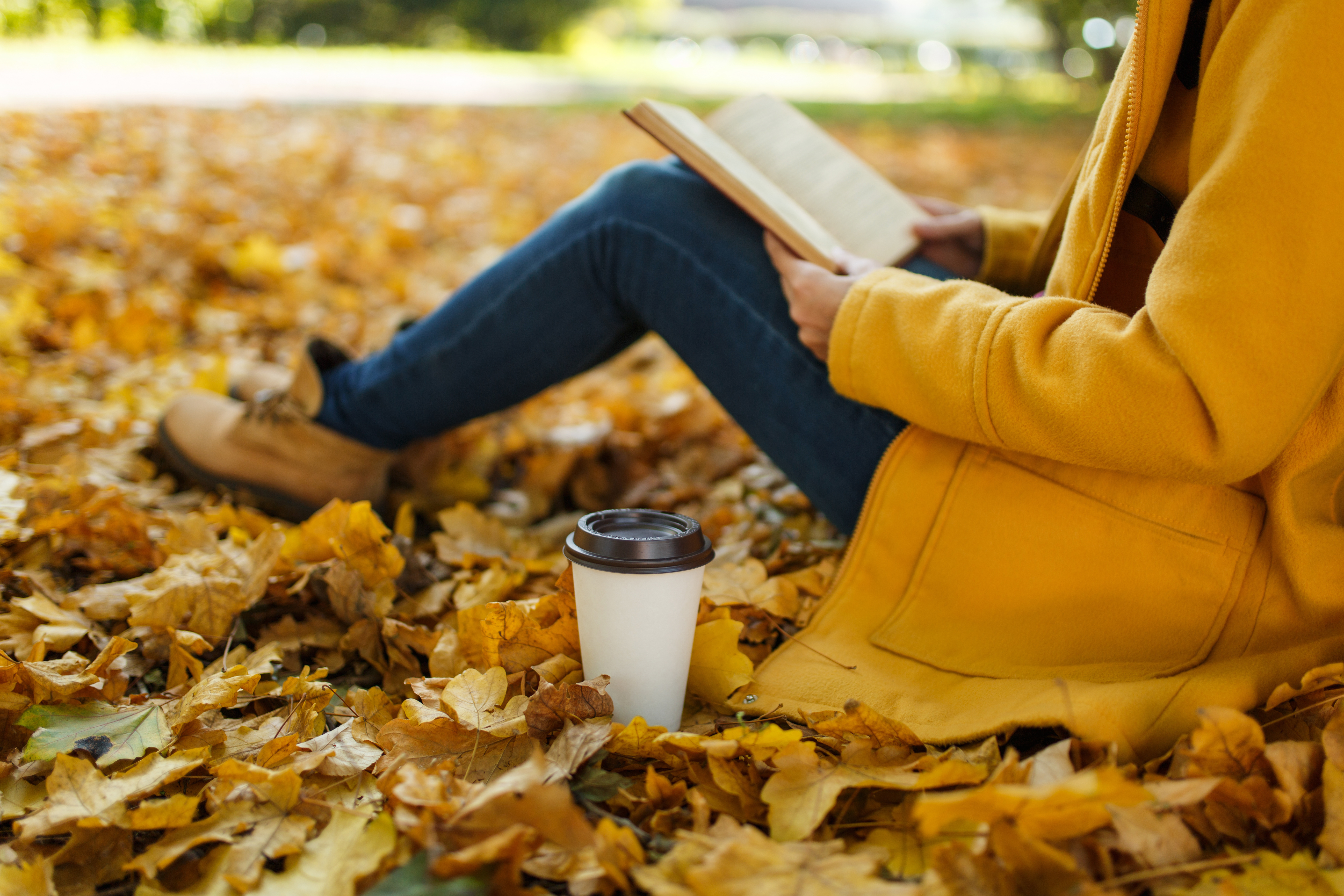 Fall is the Perfect Time to Replenish Your Why